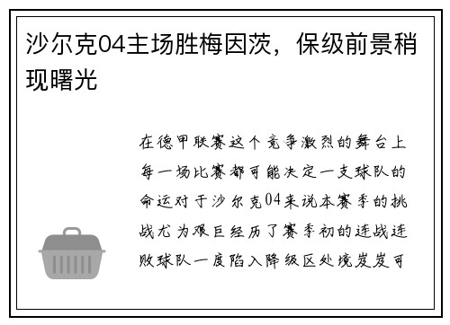 沙尔克04主场胜梅因茨，保级前景稍现曙光